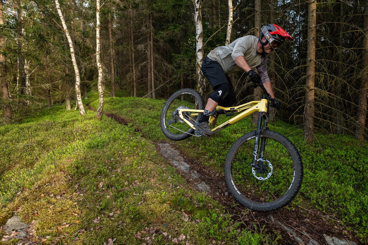 Silvini men's jersey MD2239 Brunello