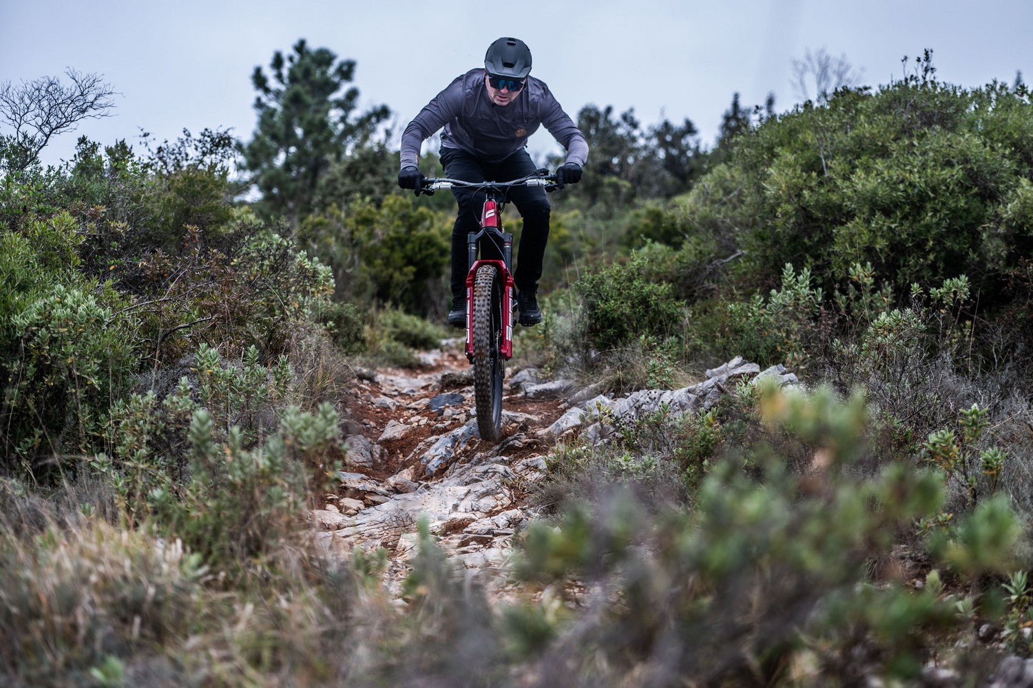 Silvini men's jersey MD1804 Ello